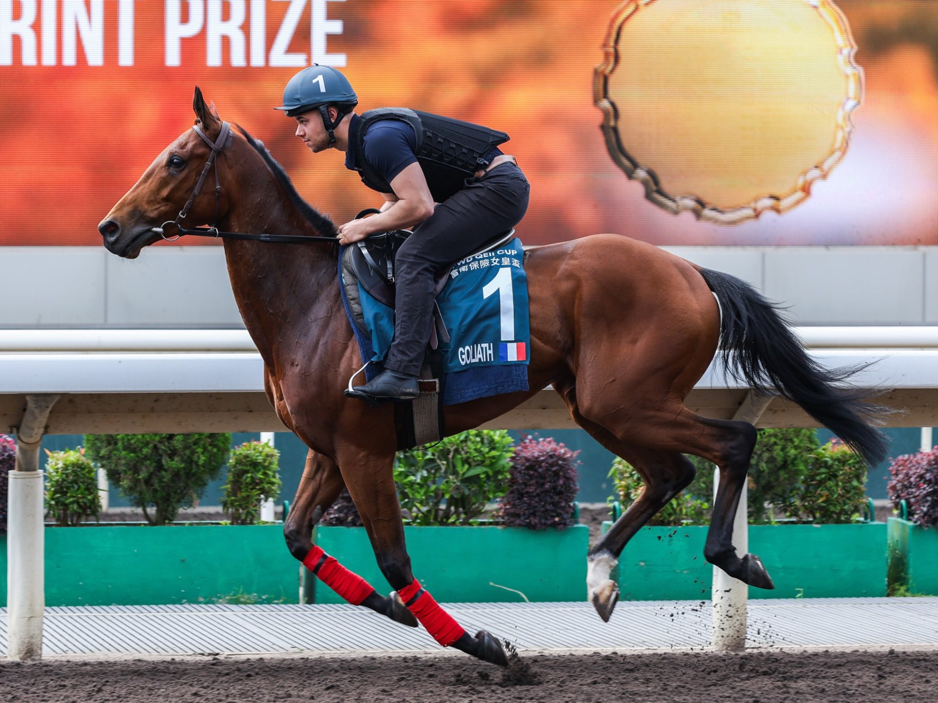 包含哥伦比亚大胜智利,成功挺进下一轮的词条 包含哥伦比亚大胜智利,成功挺进下一轮的词条